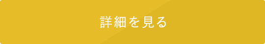 詳細を見る